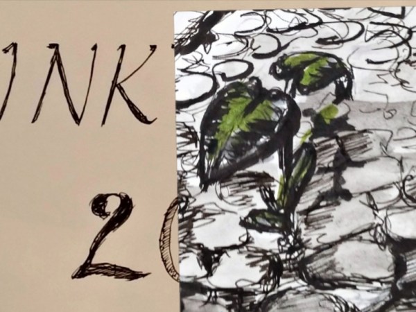 Travel and Art based on Inktober 31 days=31 drawings fun challenge. Day 20 –&nbsp;Sprout